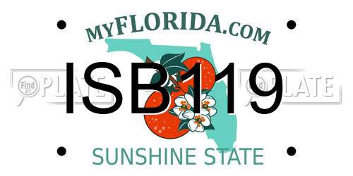 ISB119 Florida License Plate