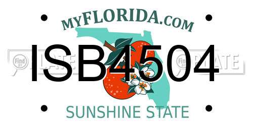 ISB4504 Florida License Plate