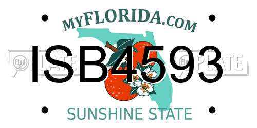 ISB4593 Florida License Plate