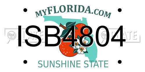 ISB4804 Florida License Plate