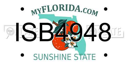 ISB4948 Florida License Plate