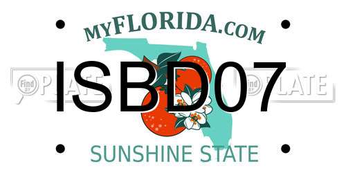 ISBD07 Florida License Plate