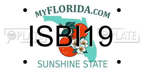 ISBI19 Florida License Plate