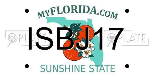 ISBJ17 Florida License Plate