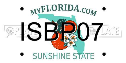 ISBP07 Florida License Plate
