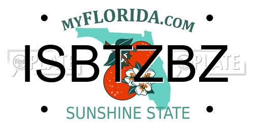 ISBTZBZ Florida License Plate