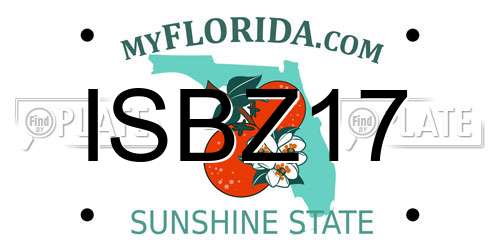 ISBZ17 Florida License Plate