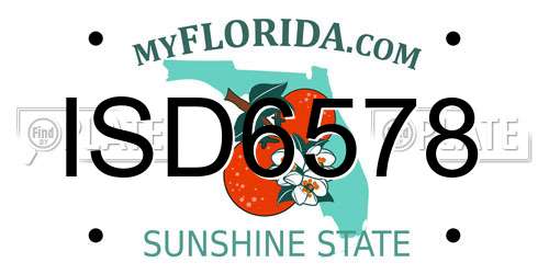 ISD6578 Florida License Plate