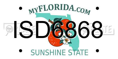 ISD6868 Florida License Plate
