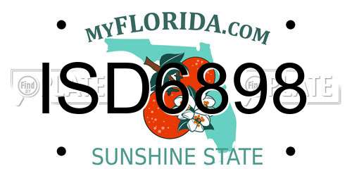 ISD6898 Florida License Plate