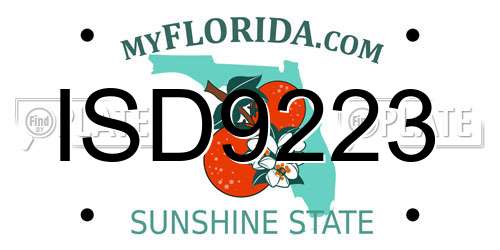 ISD9223 Florida License Plate