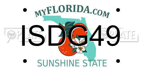 ISDG49 Florida License Plate
