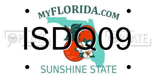 ISDQ09 Florida License Plate