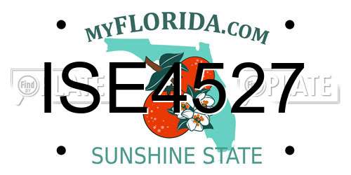 ISE4527 Florida License Plate