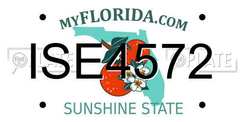 ISE4572 Florida License Plate