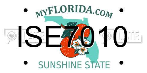 ISE7010 Florida License Plate
