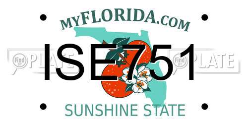 ISE751 Florida License Plate