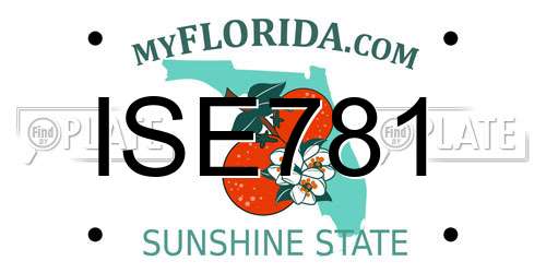 ISE781 Florida License Plate
