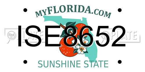 ISE8652 Florida License Plate