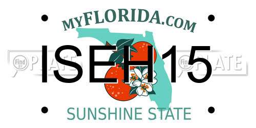 ISEH15 Florida License Plate