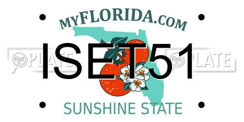 ISET51 Florida License Plate