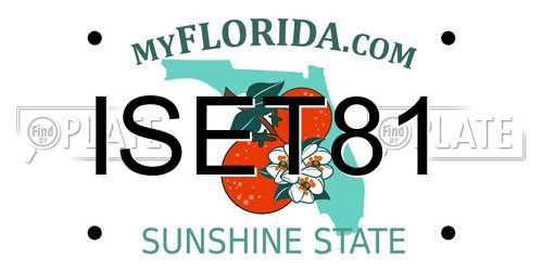 ISET81 Florida License Plate