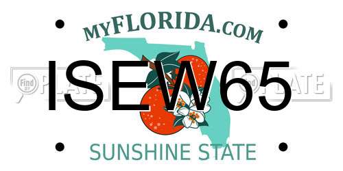 ISEW65 Florida License Plate
