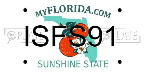 ISFS91 Florida License Plate
