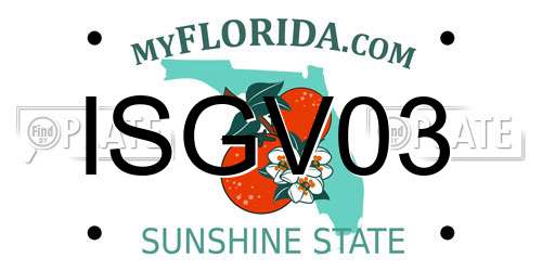 ISGV03 Florida License Plate