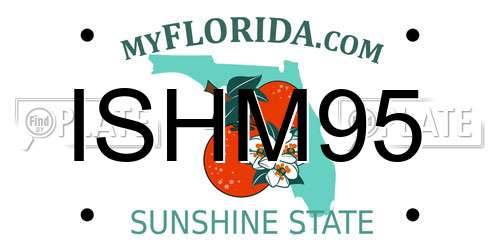 ISHM95 Florida License Plate