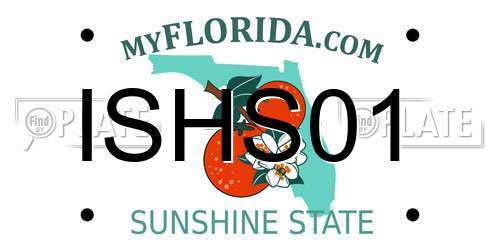 ISHS01 Florida License Plate