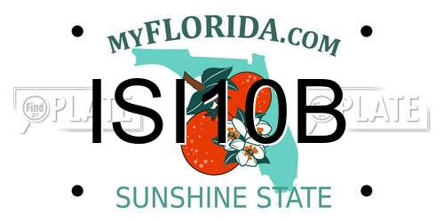 ISI10B Florida License Plate