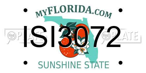 ISI3072 Florida License Plate