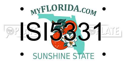 ISI5331 Florida License Plate