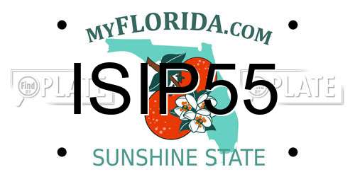 ISIP55 Florida License Plate