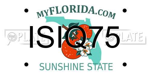 ISIQ75 Florida License Plate