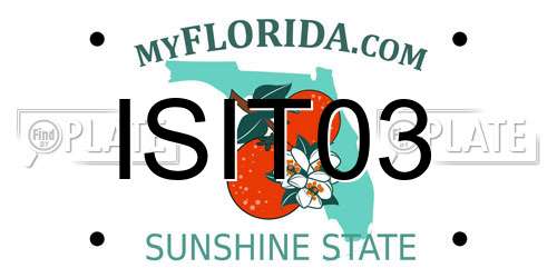 ISIT03 Florida License Plate