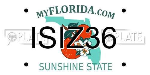 ISIZ36 Florida License Plate