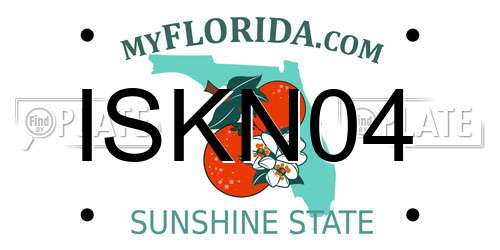 ISKN04 Florida License Plate