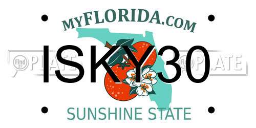 ISKY30 Florida License Plate