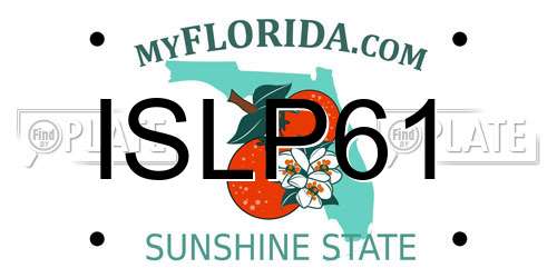 ISLP61 Florida License Plate