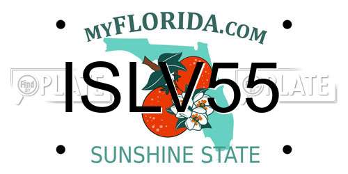 ISLV55 Florida License Plate