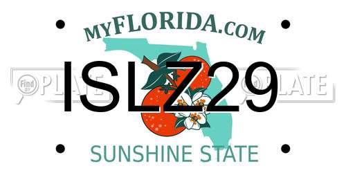ISLZ29 Florida License Plate