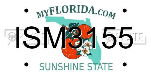 ISM3155 Florida License Plate