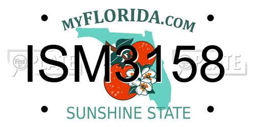 ISM3158 Florida License Plate