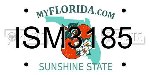 ISM3185 Florida License Plate