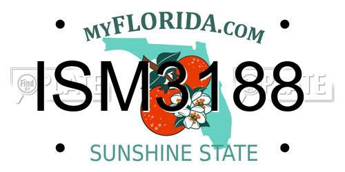 ISM3188 Florida License Plate