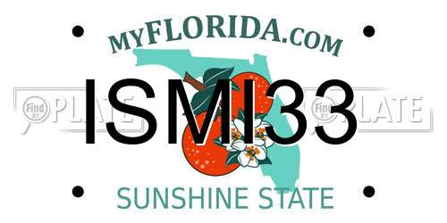 ISMI33 Florida License Plate
