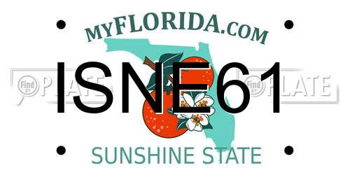 ISNE61 Florida License Plate