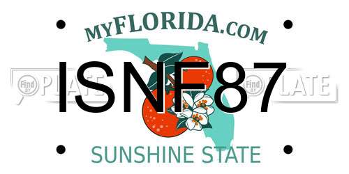 ISNF87 Florida License Plate